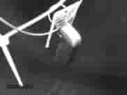 ✅ 2013 Dodge Charger RT • VIN: 2C3CDXCT6DH612970 • Lot: 43328761. Wystawiony na IAAI z przebiegiem 124 816 mil. Bezpłatny archiwum sprzedaży aukcyjnych z USA i szczegółowy raport historii pojazdu na DreamBid. Zdjęcie 11.