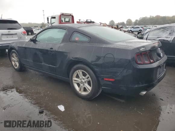 2014 Ford Mustang V6 с VIN 1ZVBP8AM6E5314618, выставлен на аукционе Copart как лот 85578705 с пробегом 185 934 миль миль и Списание • Salvage title. История ставок и продаж доступна на DreamBid. Изображение 2.