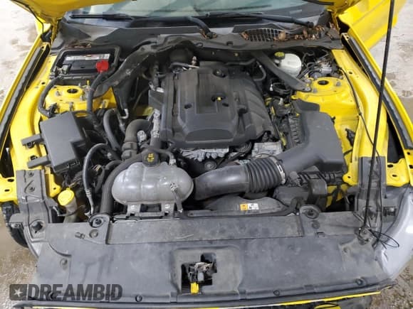 ✅ 2015 Ford Mustang EcoBoost Premium • VIN: 1FATP8UH5F5397469 • Lot: 90255205. Wystawiony na Copart z przebiegiem 145 795 mil. Bezpłatny archiwum sprzedaży aukcyjnych z USA i szczegółowy raport historii pojazdu na DreamBid. Zdjęcie 11.