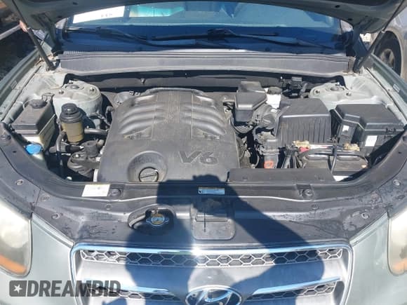 ✅ 2008 Hyundai Santa Fe SE • VIN: 5NMSH13E08H151379 • Lot: 43624134. Listed on IAAI with 208,856 mi. Free auction sales archive from the USA and detailed vehicle history report at DreamBid. Image 10.