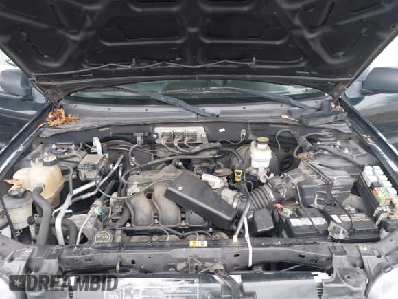 ✅ 2007 Ford Escape Limited • VIN: 1FMYU94177KB79145 • Lot: 43754007. Listed on IAAI with 167,361 mi. Free auction sales archive from the USA and detailed vehicle history report at DreamBid. Image 10.