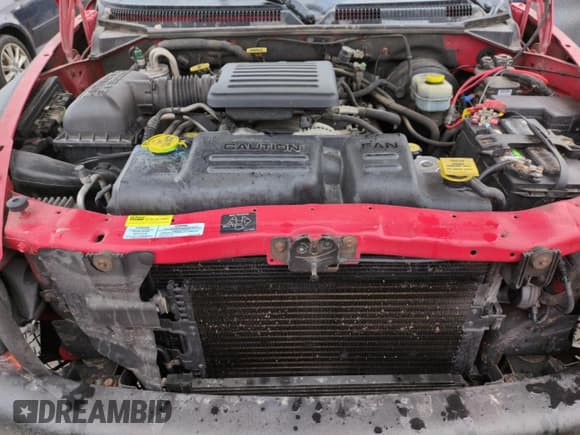 ✅ 2000 Dodge Dakota Sport • VIN: 1B7GG2AN1YS698330 • Lot: 43541235. Wystawiony na Copart z przebiegiem 160 505 mil. Bezpłatny archiwum sprzedaży aukcyjnych z USA i szczegółowy raport historii pojazdu na DreamBid. Zdjęcie 13.