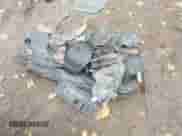 2014 Chevrolet Cruze LS z VIN 1G1PA5SH1E7336369, wystawiony jako IAAI lot #43311124 z przebiegiem 101 303 mil mil oraz . Historia ofert i sprzedaży dostępna na DreamBid. Obrazek 12.