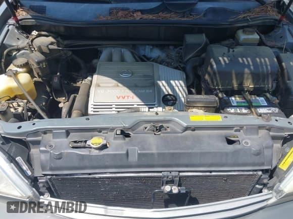 ✅ 2003 Lexus RX 300 • VIN: JTJHF10U030295855 • Lot: 42532724. Listed on IAAI with 173,460 mi. Free auction sales archive from the USA and detailed vehicle history report at DreamBid. Image 10.