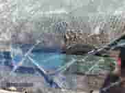 2001 Dodge 1500 with VIN 1B7HF13Z21J285135, listed as a Copart auction lot 76273934 with Not provided miles and Clean title. Bid and sale history available at DreamBid. Image 12.