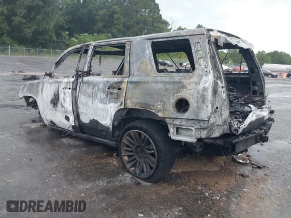 ✅ 2016 Cadillac Escalade Platinum • VIN: 1GYS4DKJ8GR113334 • Lot: 43000800. Listed on IAAI with Not provided. Free auction sales archive from the USA and detailed vehicle history report at DreamBid. Image 3.