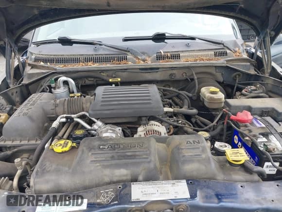 ✅ 2001 Dodge Dakota Sport • VIN: 1B7GG2AN41S220246 • Lot: 42361348. Wystawiony na IAAI z przebiegiem 219 286 mil. Bezpłatny archiwum sprzedaży aukcyjnych z USA i szczegółowy raport historii pojazdu na DreamBid. Zdjęcie 10.