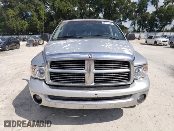 2002 Dodge 1500 with VIN 1D7HA18Z12J258099, listed as a Copart auction lot 72187704 with 355,763 mi miles and Salvage title. Bid and sale history available at DreamBid. Image 5.