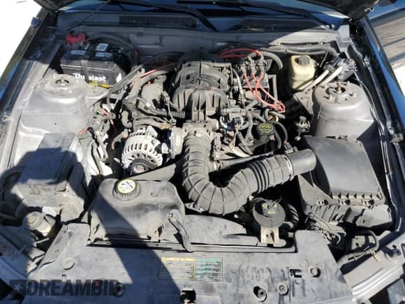 ✅ 2006 Ford Mustang Standard • VIN: 1ZVFT80N565108814 • Лот: 82576805. Опубликован ранее на Copart с пробегом 188 680 миль. Бесплатный доступ к архиву аукционных продаж из США и подробный отчёт об истории автомобиля на DreamBid. Изображение 11.