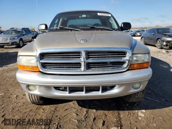 2002 Dodge Dakota SLT with VIN 1B7HG48N62S542846, listed as a Copart auction lot 79528484 with Not provided miles and Clean title. Bid and sale history available at DreamBid. Image 5.