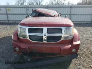 2007 Dodge Nitro SLT с VIN 1D8GU58K77W583875, выставлен на аукционе Copart как лот 80867774 с пробегом Не указан миль и Списание • Salvage title. История ставок и продаж доступна на DreamBid. Изображение 5.