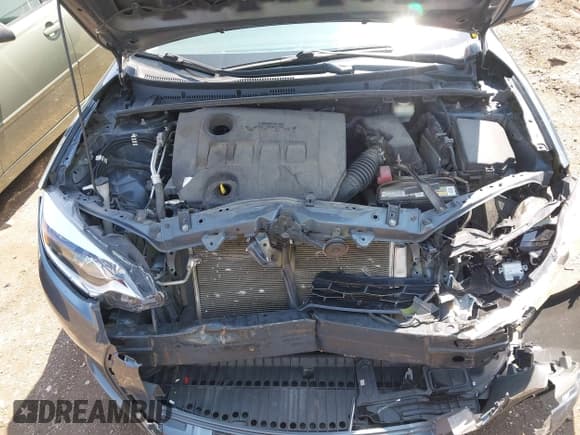 ✅ 2016 Toyota Corolla L • VIN: 2T1BURHE7GC509746 • Lot: 42394988. Wystawiony na IAAI z przebiegiem 243 243 mil. Bezpłatny archiwum sprzedaży aukcyjnych z USA i szczegółowy raport historii pojazdu na DreamBid. Zdjęcie 10.