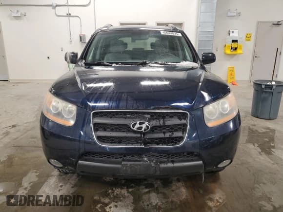 ✅ 2009 Hyundai Santa Fe GL • VIN: 5NMSG13EX9H290424 • Lot: 45644875. Listed on Copart with 239,932 mi. Free auction sales archive from the USA and detailed vehicle history report at DreamBid. Image 5.