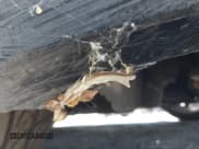 ✅ 2012 Hyundai Genesis Coupe Premium • VIN: KMHHT6KD2CU074431 • Lot: 43035548. Listed on IAAI with 202,526 mi. Free auction sales archive from the USA and detailed vehicle history report at DreamBid. Image 14.