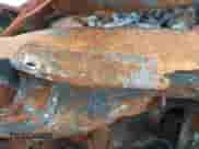 2024 Hyundai Sonata SEL с VIN KMHL64JAXRA392742, выставлен на аукционе IAAI как лот 43594436 с пробегом Не указан миль и . История ставок и продаж доступна на DreamBid. Изображение 9.