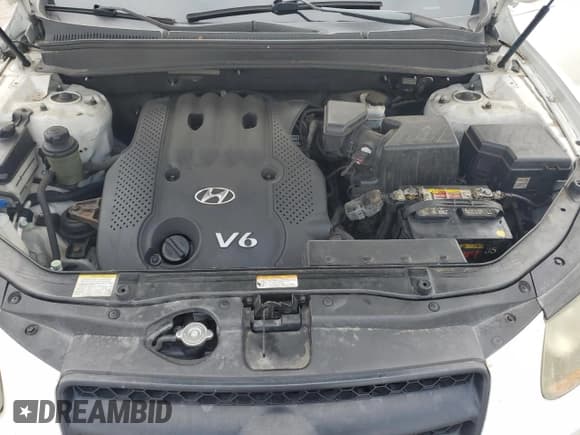 ✅ 2008 Hyundai Santa Fe GLS • VIN: 5NMSG13D68H174966 • Lot: 66612044. Listed on Copart with 167,655 mi. Free auction sales archive from the USA and detailed vehicle history report at DreamBid. Image 12.