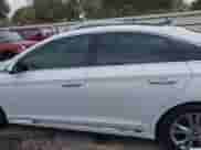 2015 Hyundai Sonata Sport с VIN 5NPE34AF5FH041663, выставлен на аукционе IAAI как лот 43394602 с пробегом 37 154 миль миль и . История ставок и продаж доступна на DreamBid. Изображение 14.