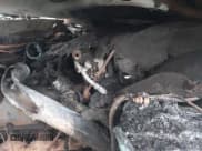 ✅ 1999 Ford F-250 XL • VIN: 1FTNX21F0XEA66495 • Lot: 42451917. Listed on IAAI with Not provided. Free auction sales archive from the USA and detailed vehicle history report at DreamBid. Image 10.