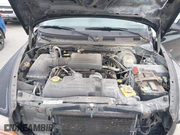 ✅ 2001 Dodge Dakota Sport • VIN: 1B7HL2AN11S314794 • Lot: 42280339. Wystawiony na IAAI z przebiegiem 180 239 mil. Bezpłatny archiwum sprzedaży aukcyjnych z USA i szczegółowy raport historii pojazdu na DreamBid. Zdjęcie 10.