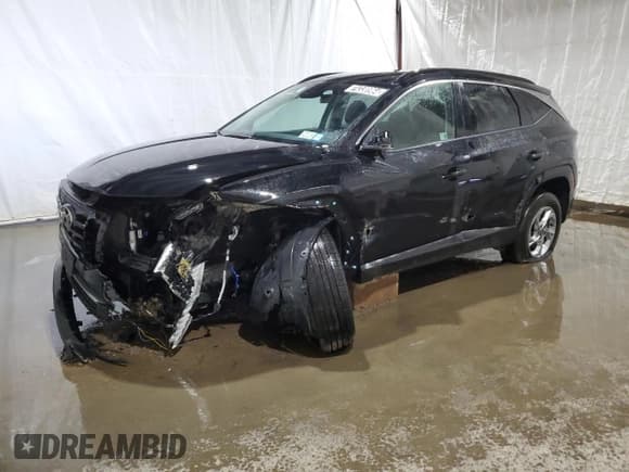 ✅ 2024 Hyundai Tucson SEL • VIN: 5NMJBCDE2RH365301 • Lot: 74338964. Wystawiony na Copart z przebiegiem 14 969 mil. Bezpłatny archiwum sprzedaży aukcyjnych z USA i szczegółowy raport historii pojazdu na DreamBid. Zdjęcie 1.