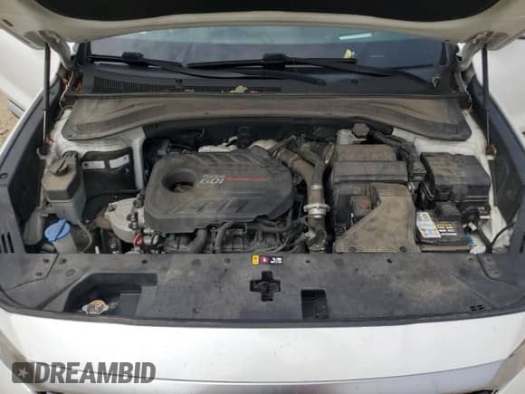 2019 Hyundai Santa Fe Limited with VIN 5NMS5CAA7KH016993, listed as a Copart auction lot 81120725 with 119,440 mi miles and Clean title. Bid and sale history available at DreamBid. Image 11.