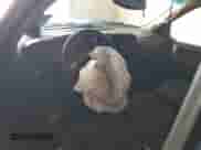 2012 Chevrolet Silverado 1500 LT с VIN 1GCRKSE78CZ220294, выставлен на аукционе Copart как лот 64663785 с пробегом 223 490 миль миль и Списание • Salvage title. История ставок и продаж доступна на DreamBid. Изображение 8.