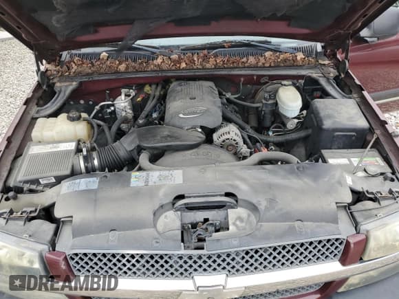 ✅ 2003 Chevrolet Silverado 1500 LS • VIN: 1GCEK19T13E297905 • Лот: 93880655. Опубликован ранее на Copart с пробегом 170 031 миль. Бесплатный доступ к архиву аукционных продаж из США и подробный отчёт об истории автомобиля на DreamBid. Изображение 11.