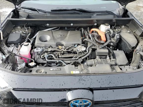 ✅ 2024 Toyota RAV4 Hybrid XLE • VIN: 4T3RWRFV7RU117676 • Лот: 91516535. Опубликован ранее на Copart с пробегом 42 205 миль. Бесплатный доступ к архиву аукционных продаж из США и подробный отчёт об истории автомобиля на DreamBid. Изображение 12.