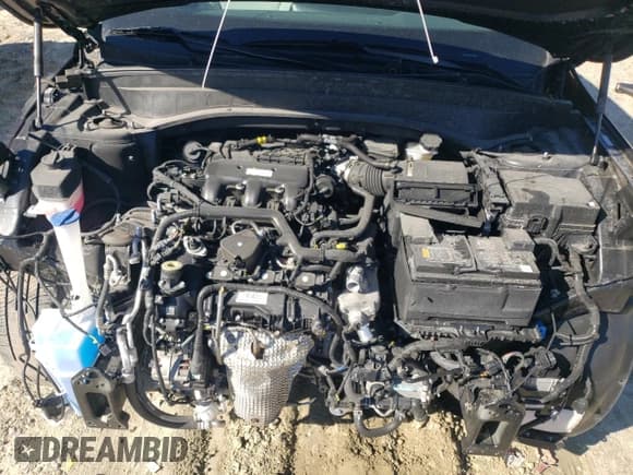 ✅ 2024 Kia Telluride S • VIN: 5XYP64GC9RG478848 • Lot: 90821355. Wystawiony na Copart z przebiegiem 20 880 mil. Bezpłatny archiwum sprzedaży aukcyjnych z USA i szczegółowy raport historii pojazdu na DreamBid. Zdjęcie 12.