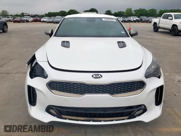 ✅ 2019 Kia Stinger GT • VIN: KNAE35LC4K6067942 • Lot: 54382005. Listed on Copart with 43,742 mi. Free auction sales archive from the USA and detailed vehicle history report at DreamBid. Image 5.