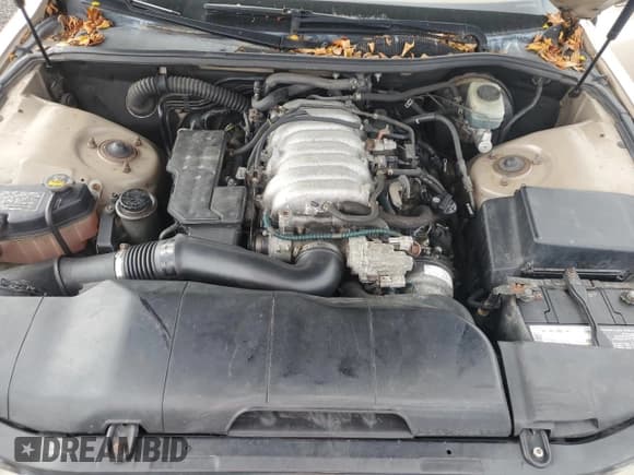 ✅ 1998 Lexus LS 400 • VIN: JT8BH28F4W0132546 • Lot: 71273215. Listed on Copart with Not provided. Free auction sales archive from the USA and detailed vehicle history report at DreamBid. Image 11.