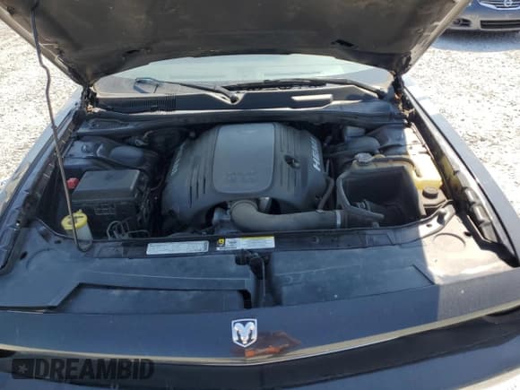 ✅ 2009 Dodge Challenger R/T • VIN: 2B3LJ54T99H640567 • Lot: 63454025. Wystawiony na Copart z przebiegiem 171 376 mil. Bezpłatny archiwum sprzedaży aukcyjnych z USA i szczegółowy raport historii pojazdu na DreamBid. Zdjęcie 11.