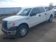 ✅ 2011 Ford F-150 XL • VIN: 1FTFW1EFXBKD89491 • Lot: 41479190. Listed on IAAI with 242,797 mi. Free auction sales archive from the USA and detailed vehicle history report at DreamBid. Image 2.