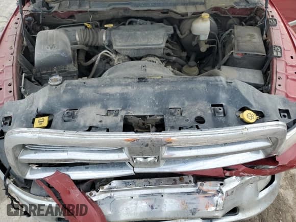 ✅ 2010 Dodge 1500 SLT • VIN: 1D7RB1GP8AS119372 • Lot: 55570935. Wystawiony na Copart z przebiegiem 157 627 mil. Bezpłatny archiwum sprzedaży aukcyjnych z USA i szczegółowy raport historii pojazdu na DreamBid. Zdjęcie 11.