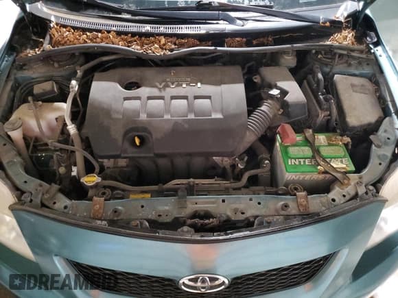 ✅ 2009 Toyota Corolla LE • VIN: JTDBL40E79J011653 • Лот: 86305055. Опубликован ранее на Copart с пробегом 204 368 миль. Бесплатный доступ к архиву аукционных продаж из США и подробный отчёт об истории автомобиля на DreamBid. Изображение 11.