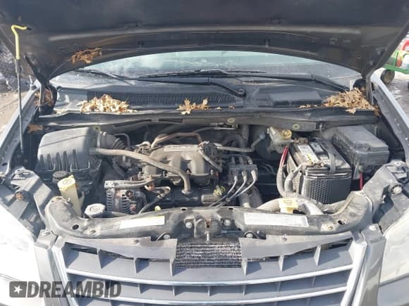 ✅ 2010 Chrysler Town & Country LX • VIN: 2A4RR2D16AR387179 • Lot: 41410509. Wystawiony na IAAI z przebiegiem 209 506 mil. Bezpłatny archiwum sprzedaży aukcyjnych z USA i szczegółowy raport historii pojazdu na DreamBid. Zdjęcie 10.