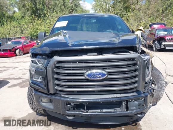 ✅ 2016 Ford F-150 XLT • VIN: 1FTEW1EG3GFD41299 • Лот: 43270951. Опубликован ранее на IAAI с пробегом 117 205 миль. Бесплатный доступ к архиву аукционных продаж из США и подробный отчёт об истории автомобиля на DreamBid. Изображение 13.