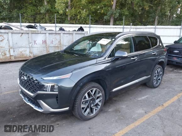 2023 Hyundai Santa Fe Calligraphy z VIN 5NMS5DAL9PH638512, wystawiony jako IAAI lot #43082782 z przebiegiem 39 825 mil mil oraz . Historia ofert i sprzedaży dostępna na DreamBid. Obrazek 17.