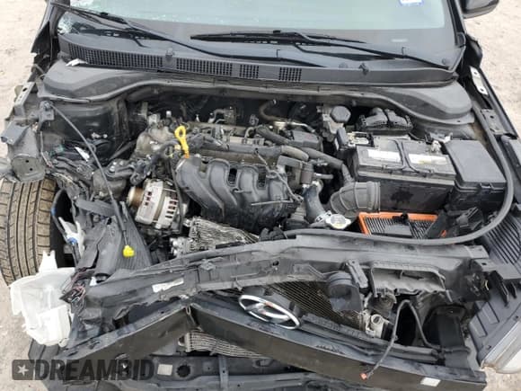 ✅ 2018 Hyundai Accent SE • VIN: 3KPC24A35JE019904 • Lot: 79004694. Wystawiony na Copart z przebiegiem 112 464 mil. Bezpłatny archiwum sprzedaży aukcyjnych z USA i szczegółowy raport historii pojazdu na DreamBid. Zdjęcie 12.