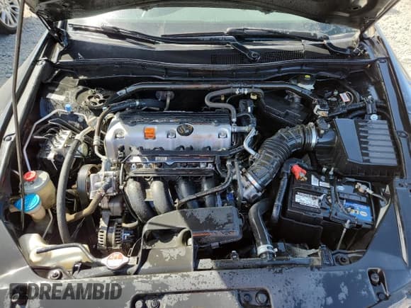 ✅ 2011 Honda Accord EX-L • VIN: 1HGCS1B86BA013978 • Lot: 81156595. Listed on Copart with 174,488 mi. Free auction sales archive from the USA and detailed vehicle history report at DreamBid. Image 11.