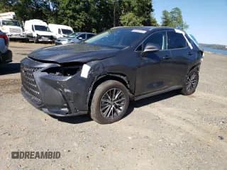 ✅ 2024 Lexus NX 250 • VIN: 2T2ADCAZ8RC007929 • Lot: 80895115. Wystawiony na Copart z przebiegiem 19 621 mil. Bezpłatny archiwum sprzedaży aukcyjnych z USA i szczegółowy raport historii pojazdu na DreamBid. Zdjęcie 1.