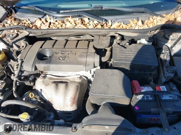 ✅ 2011 Toyota Camry LE • VIN: 4T1BF3EK3BU682382 • Lot: 43726867. Wystawiony na IAAI z przebiegiem 99 187 mil. Bezpłatny archiwum sprzedaży aukcyjnych z USA i szczegółowy raport historii pojazdu na DreamBid. Zdjęcie 10.