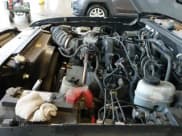 ✅ 2007 Ford Ranger XLT • VIN: 1FTZR45E87PA73918 • Лот: 43597980. Опубликован ранее на IAAI с пробегом 300 944 миль. Бесплатный доступ к архиву аукционных продаж из США и подробный отчёт об истории автомобиля на DreamBid. Изображение 20.