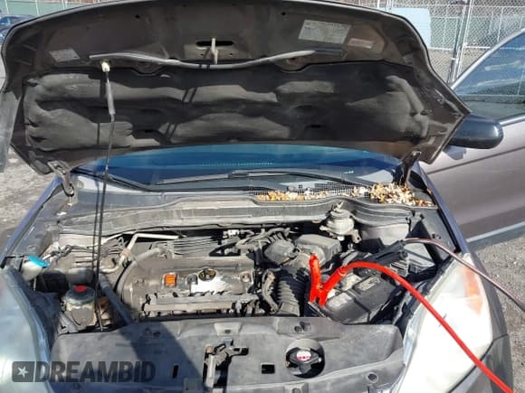 ✅ 2011 Honda CR-V LX • VIN: 5J6RE4H33BL046223 • Lot: 43661747. Listed on IAAI with 196,681 mi. Free auction sales archive from the USA and detailed vehicle history report at DreamBid. Image 10.