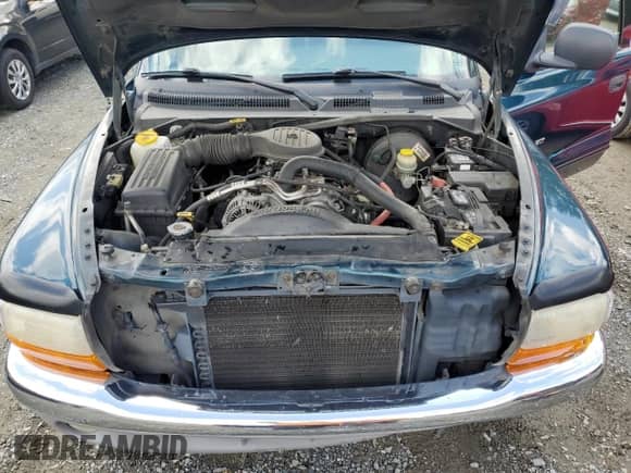 1998 Dodge Dakota SLT z VIN 1B7GG22YXWS639234, wystawiony jako Copart lot #68892734 z przebiegiem 123 588 mil mil oraz Szkoda całkowita • Salvage title. Historia ofert i sprzedaży dostępna na DreamBid. Obrazek 11.