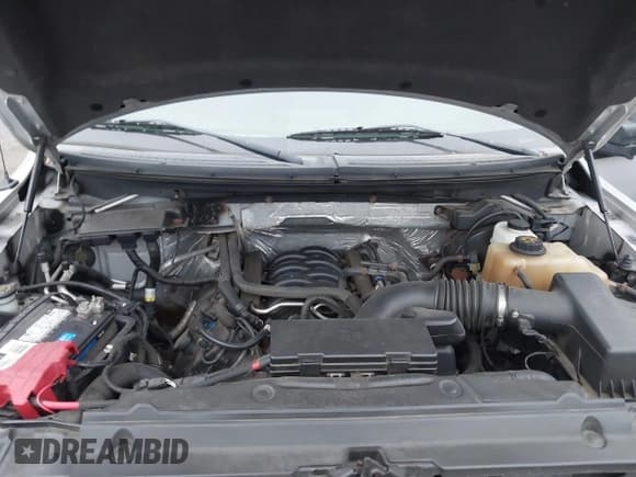 ✅ 2011 Ford F-150 FX4 • VIN: 1FTFX1EF0BKE21135 • Lot: 43903412. Listed on IAAI with 144,109 mi. Free auction sales archive from the USA and detailed vehicle history report at DreamBid. Image 10.