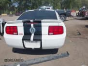 ✅ 2009 Ford Mustang • VIN: 1ZVHT80N795138829 • Lot: 43217919. Listed on IAAI with 162,965 mi. Free auction sales archive from the USA and detailed vehicle history report at DreamBid. Image 17.