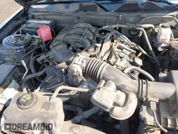 ✅ 2011 Ford Mustang V6 • VIN: 1ZVBP8AM9B5134433 • Lot: 42569131. Listed on IAAI with 84,747 mi. Free auction sales archive from the USA and detailed vehicle history report at DreamBid. Image 10.