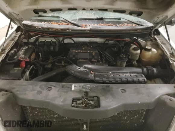 ✅ 2005 Ford F-150 XLT • VIN: 1FTPX14545FB48193 • Lot: 86781104. Listed on Copart with 200,299 mi. Free auction sales archive from the USA and detailed vehicle history report at DreamBid. Image 11.