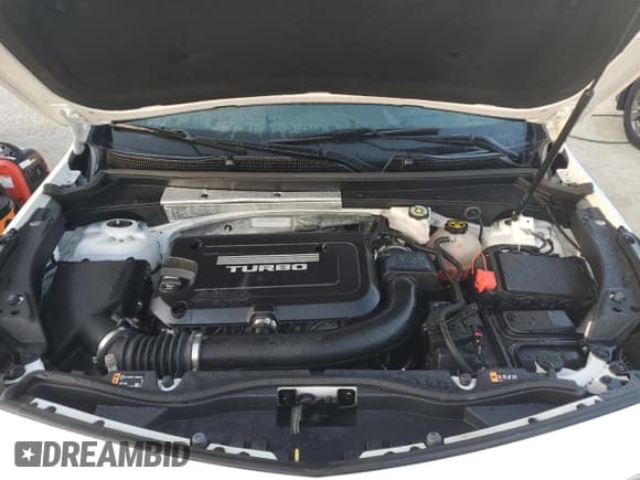 ✅ 2019 Cadillac XT4 FWD Premium Luxury • VIN: 1GYFZCR48KF206877 • Lot: 74523364. Listed on Copart with Not provided. Free auction sales archive from the USA and detailed vehicle history report at DreamBid. Image 12.